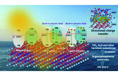 S-scheme Al6Si2O13/ZnWO4 nanocomposites for photocatalytic degradation of dichlorvos and triazophos/chlorpyrifos mixtures 2026.100999